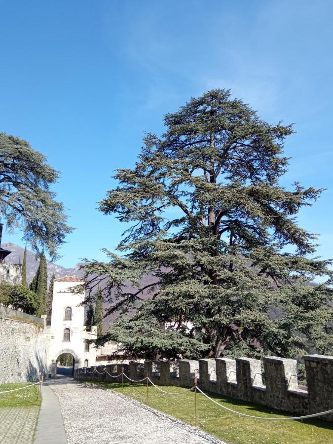 Casa Diso 2016 Διαμέρισμα Vittorio Veneto Εξωτερικό φωτογραφία
